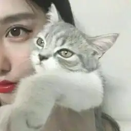 部位头
