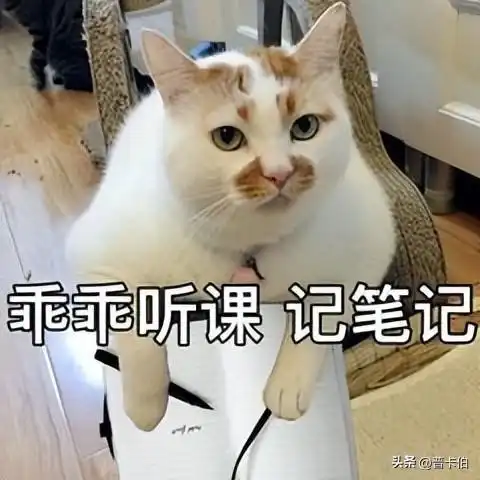 调休,登顶热搜为什么放假总是离不开调休