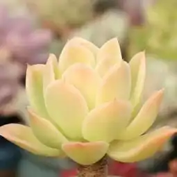 简单几招,教你小房子变大空间,真是太赞了