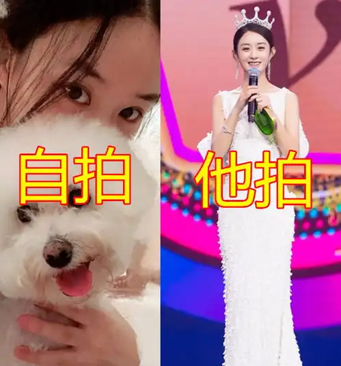 明星自拍vs他拍,杨紫可爱,热巴霸气,看到赵丽颖学到了女孩