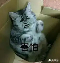 江苏南京吓人院子里发现血淋淋的人腿和人手