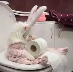 曾经我的小鹿也乱撞过现在可能是撞死了吧