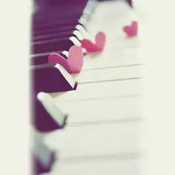 绮鹿安然诺晗毓意的美拍