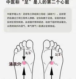 正品老北京艾叶足贴通络暖身祛湿驱寒助眠睡眠艾草足贴男女通用