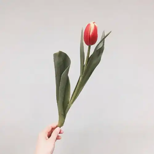看了就很喜欢的句子,时常阅读,受益良多