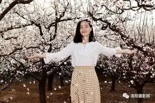 五龙沟杏花花开成海,女生在花海中庆祝生日