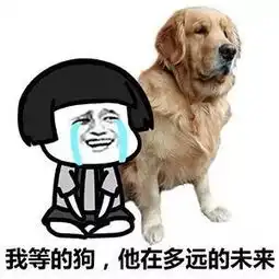 超实用撩妹技巧速成指南