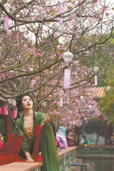 赏花游热潮起她出游热度飙升