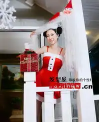 芙蓉姐姐圣诞写真曝光卖萌双发髻显精灵可爱3