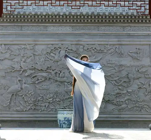 四合院里的古装女神,一个字美