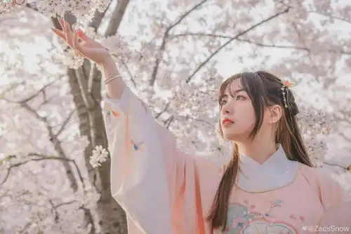 汉服小仙女又是一年樱花季
