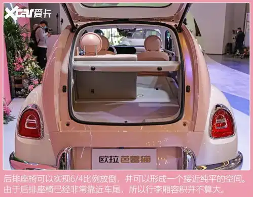 实拍欧拉芭蕾猫,女性专属卖20万你会为它买单吗