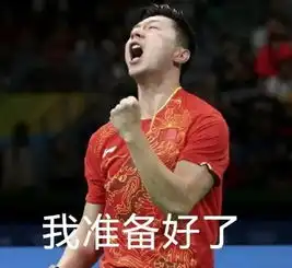 马龙战胜张继科后的相爱相杀