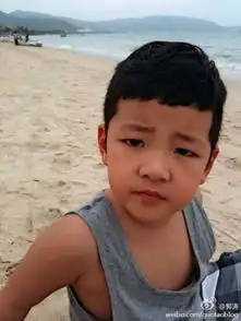 郭涛儿子石头裸照曝光惊现人鱼线对比柯震东4