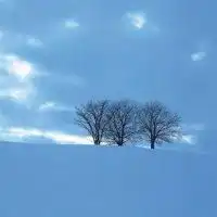 风景微信头像图片大全微信头像图片大全