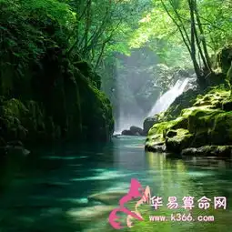 韦姓氏的家谱记载和郡望堂号