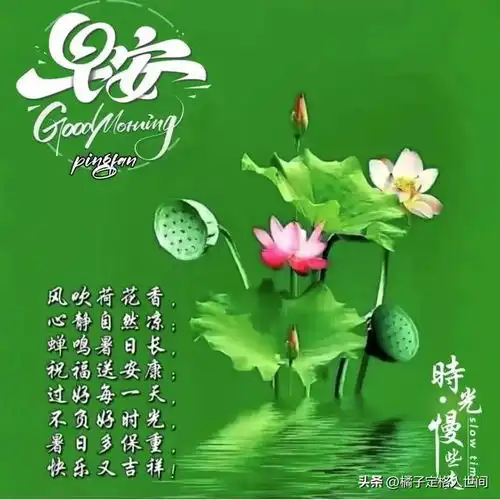8月26日吉祥祝福心乱一切乱,心安一切安,爱情只有爱与不爱