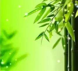 咏竹