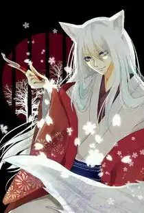 每个二次元都很熟悉的男神