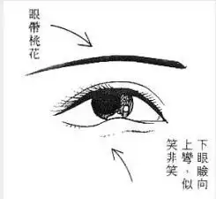 刀丛中的小诗的相册女人看貌,男人看炮,整容变性勿扰