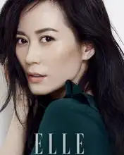 明星美女俞飞鸿气质唯美大气写真