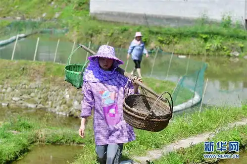 苗山脱贫影像志一位女大学生的特殊假期课堂