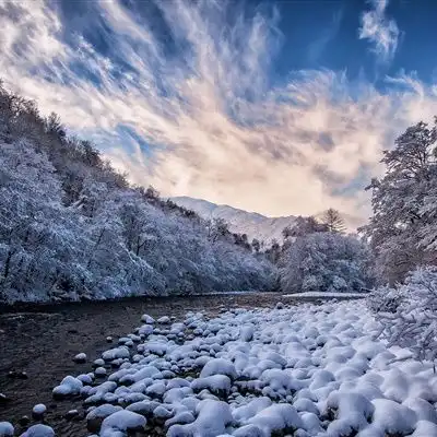 唯美雪景头像,美丽的冬季风光雪景太陶醉了
