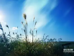 照亮你的路音乐教案