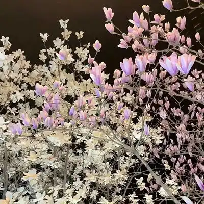 2023最新鲜花盛开风景头像