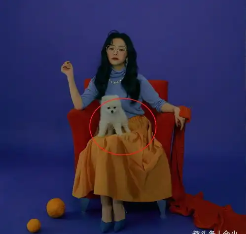清纯女星谭松韵手拿橙子拍大片,还现场织围巾,侧面腰围仅巴掌大