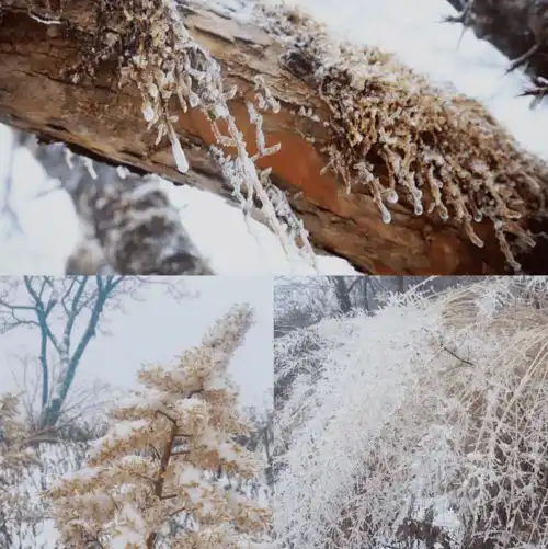 美美美汉中今年冬天的第一场雪来啦