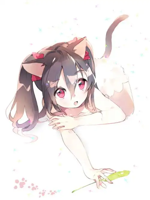 猫耳赛高