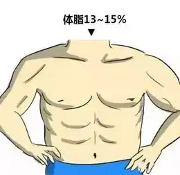 男女体脂对照图,腹肌练不出,因为你不知道这些