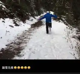 只穿一件短袖的圣诞秘密