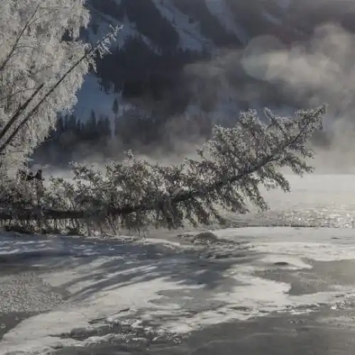 冬天雪景的微信头像,新疆禾木冬季雪景风景图片