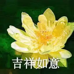 独家爆料某新星偶像团体将在卓越正式出道艾莉
