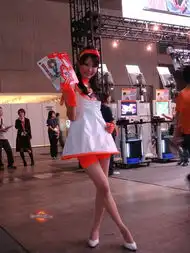 东京电玩展2007nbgi公司showgirl秀