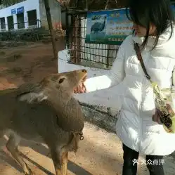 电话地址价格营业时间文化娱乐城动植物园团购德阳周边游