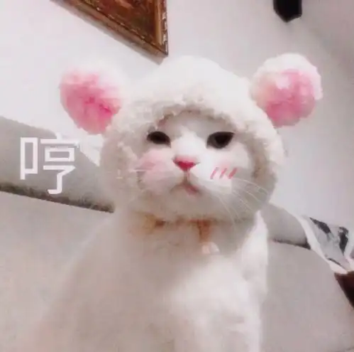 魔都新手爸爸定制锦旗,给探视亲友立规矩这些话宝妈不爱听快来自查