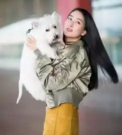 宋茜王珞丹又作出新高度,女明星的假街拍够了没有啊