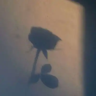 如果你瞄准月亮即使迷失也是在星风景静物头像我要个性网