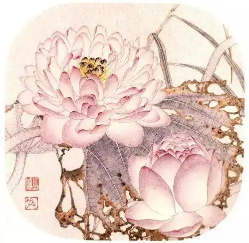 荷花仿佛承载着他在现实生活中的悲喜