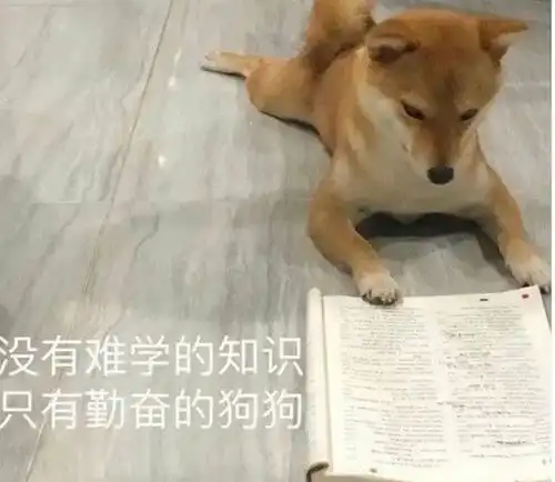 zv和baby共沉沦沈腾马丽意难平恩爱夫妻开始删通稿了他俩压根没办婚礼时尚圈大战