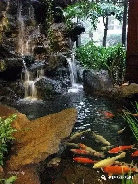 为什么有庭院都要做鱼池不光是赏心悦目,还能带来好财运