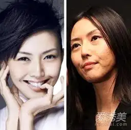 刘晓庆柳岩素颜照吓呆路人的10大女星