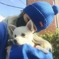 黑头发玫瑰花头像微信头像图片大全