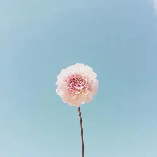百看不厌的正能量早安心语,阳光向上,很燃很励志