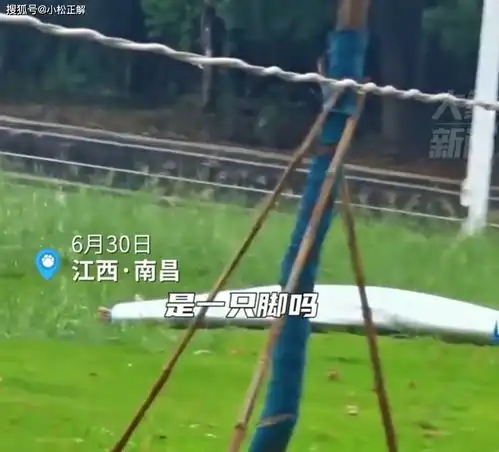 江西南昌下雨天,男子在草坪上发现一袋人,只有两只脚露在外面