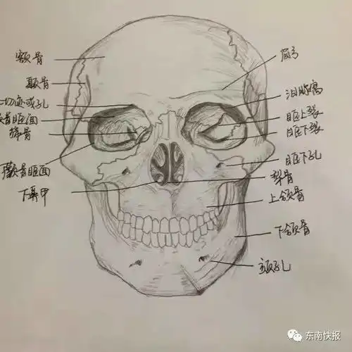 三分钟新闻福州最梦幻的步道来啦紫藤绕扶手茉莉满梯田五一就完工