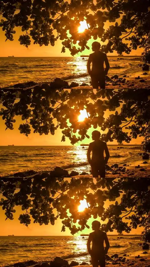 夕阳中的海边礁石单男